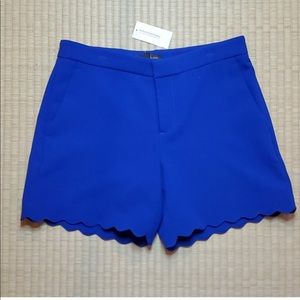 NWT- Banana Republic Royal Blue Scalloped Hem Shorts, 6